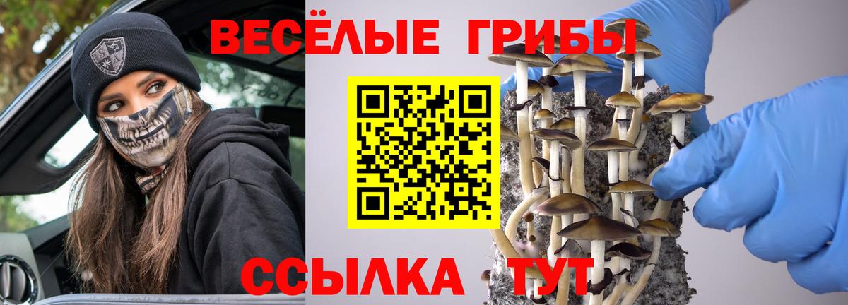 Галлюциногенные грибы прущие грибы  Вход с VPN  Нововоронеж 