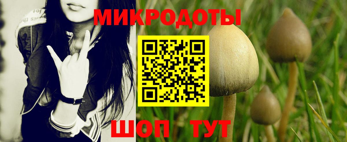 Галлюциногенные грибы MAGIC MUSHROOMS Нововоронеж